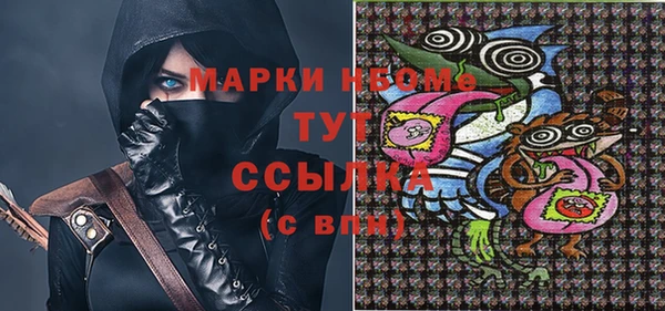 прущий лед Абаза