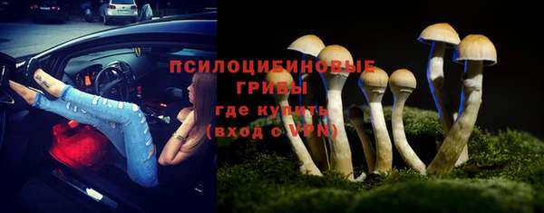 гидра Абдулино