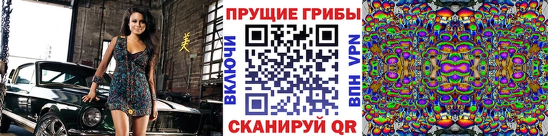 цена наркотик  Истра  Галлюциногенные грибы Psilocybine cubensis 